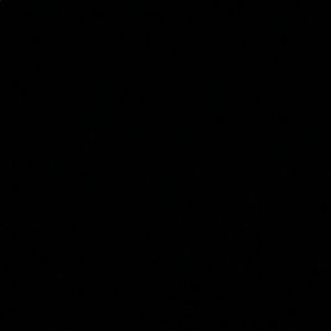 Meet your Posher, Maisie